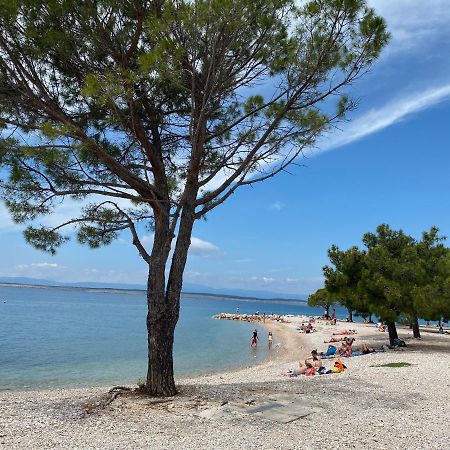 Family Apartments Vesna- 100 M Beach -Center Криквеница Екстериор снимка